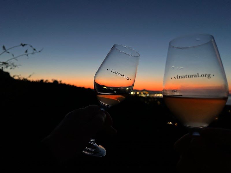 Ca Rosa 2023 · Cos a Cos