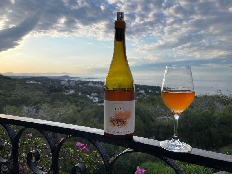 Muda 2023 · Verónica Romero