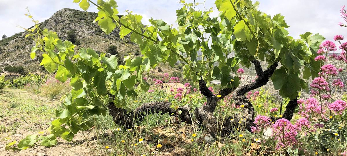 The living cannot be fixed